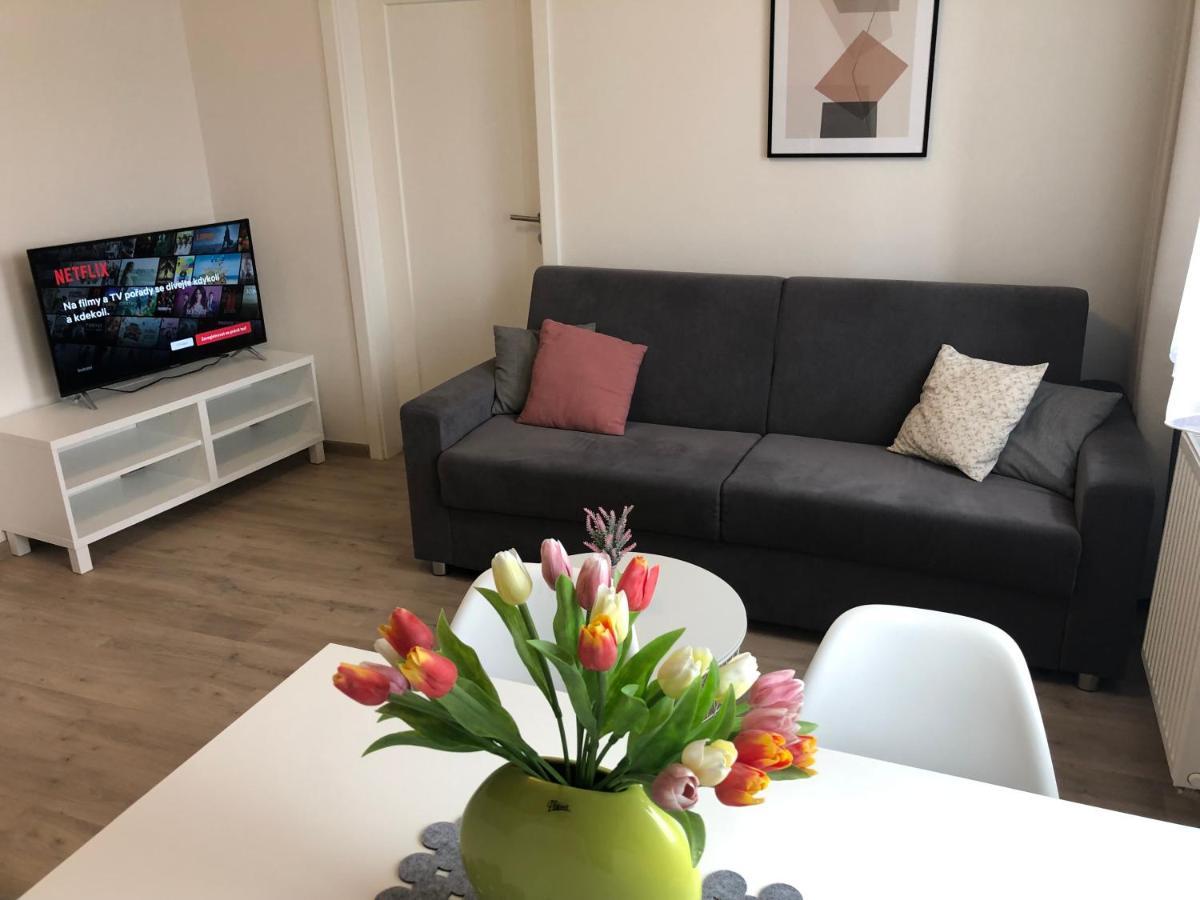 Rezidence Weisovka Apartment Ceske Budejovice Ngoại thất bức ảnh